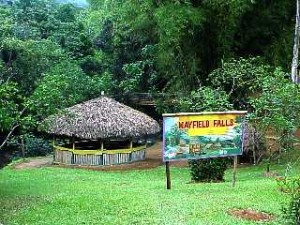 mayfield-falls-jamaica-sign